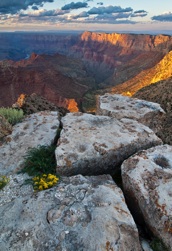 Sunset, Grand Canyon NP, landscape notecard